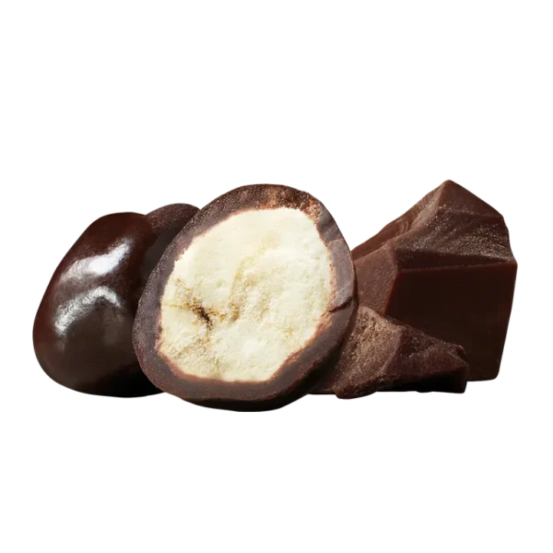 Tru Fru Freeze-Dried Fresh Bananas with Dark Chocolate - 3.4oz