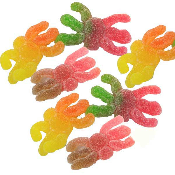 Gummi Hairy Spiders - 4.4lb