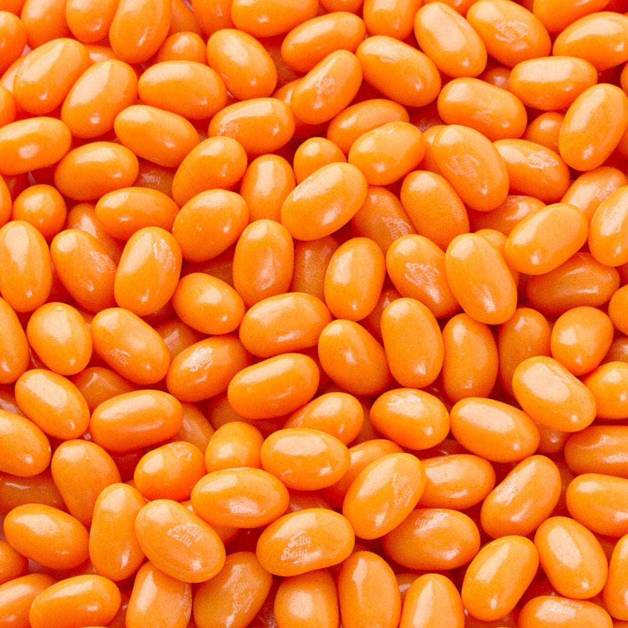 Jelly Belly Pumpkin Pie Jelly Beans 10lb