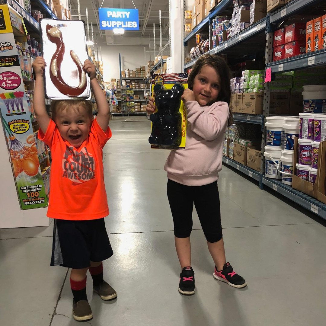 Largest Gummy Snake 1lb (One)