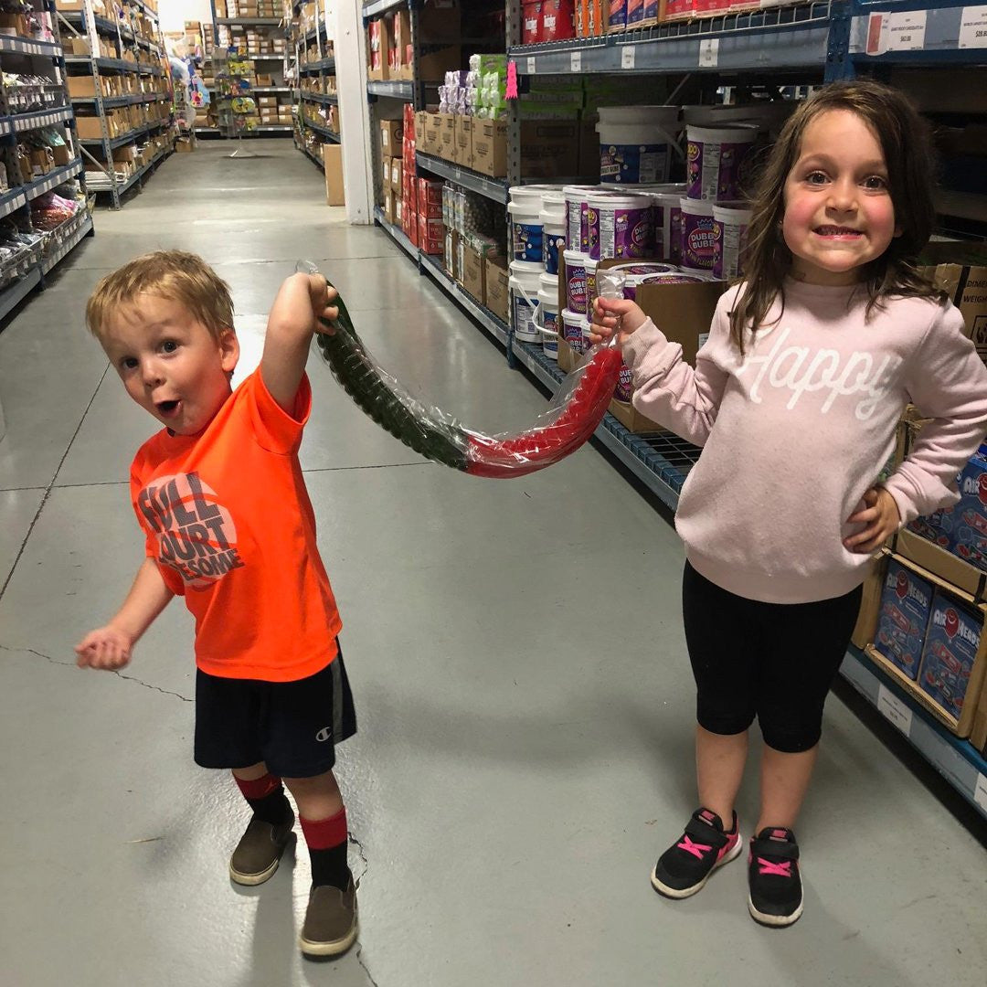 Huge Gummy Worm 3lbs (One)