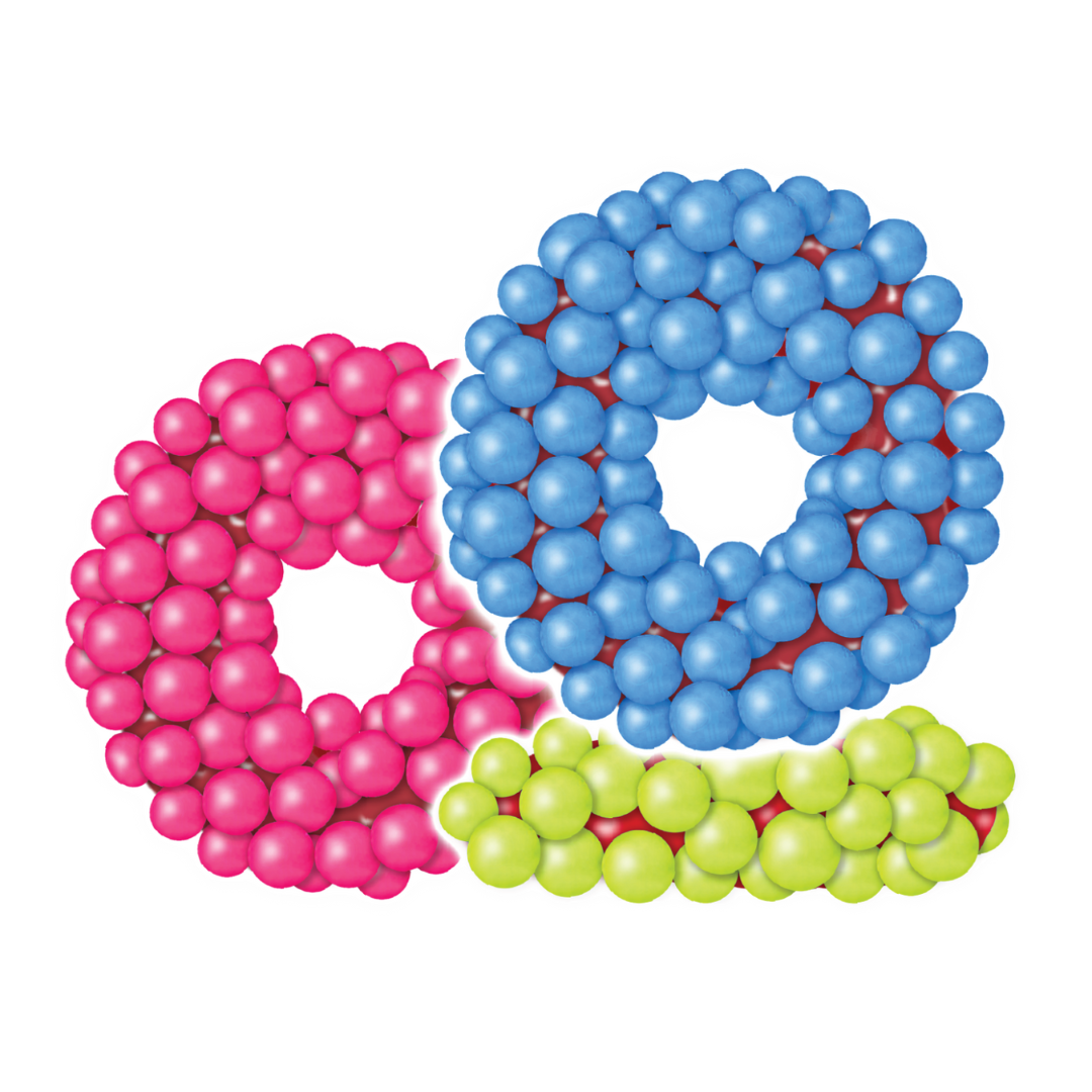 Cosmic Sour Candy-Coated Gummy Rings - 5lb