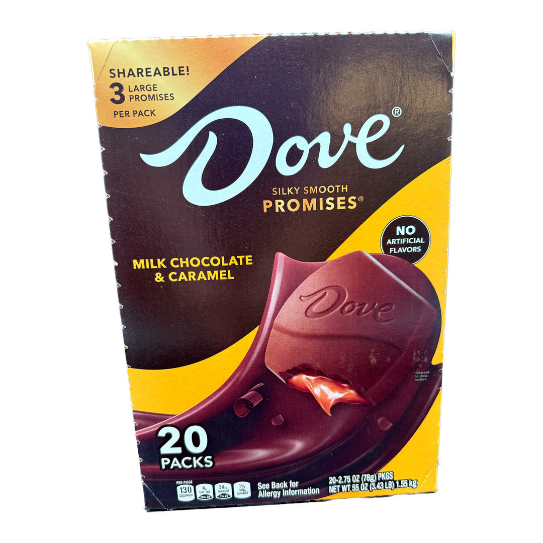 Dove Large Milk Chocolate & Caramel Promises - 2.75oz / 20ct