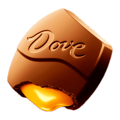 Dove Large Milk Chocolate & Caramel Promises - 2.75oz / 20ct