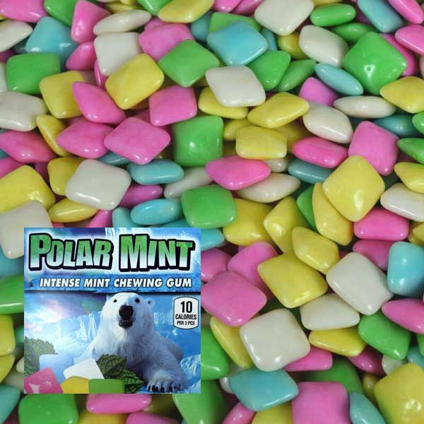 Dubble Bubble Polar Mint Chiclet Gum 24.75lb Bulk