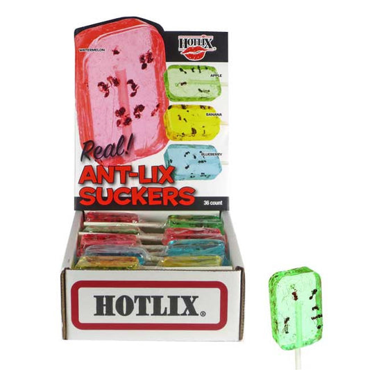 Hotlix Assorted Ant Lollipops 36 Count