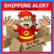 Ice Packs (Protection, Not a Guarantee)