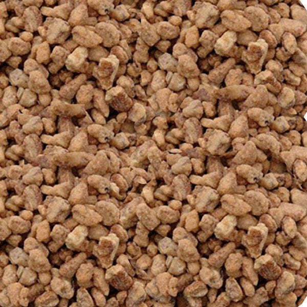 Praline Pecan Pieces Medium 5lb Bulk