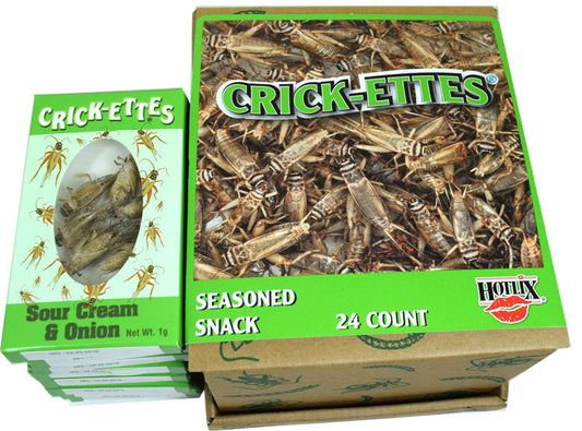 Real Cricket Snacks 24 Count Sour Cream Onion