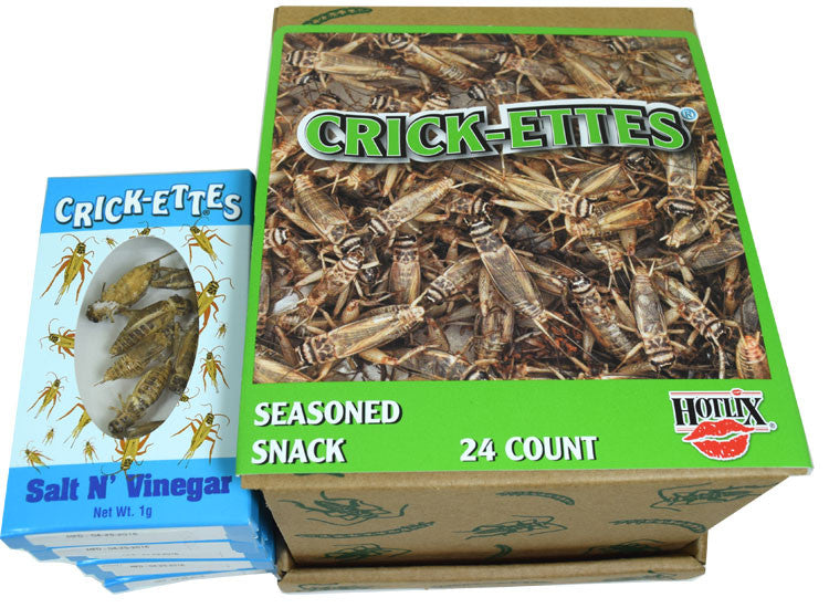 Real Crickets Snacks 24 Count Salt & Vinegar