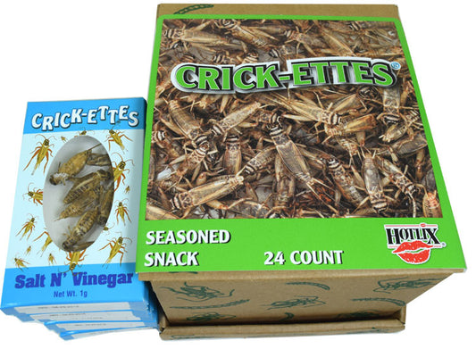 Real Crickets Snacks 24 Count Salt & Vinegar