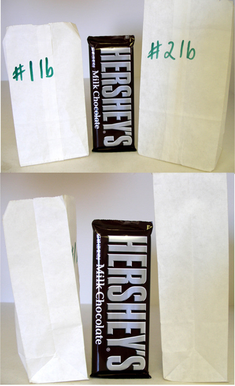 White Paper Bags - 2lb / 500ct